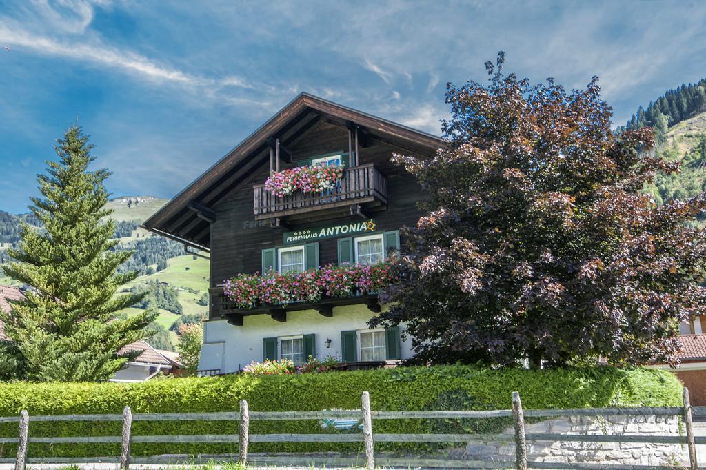 Ferienhaus Antonia 도르프가스테인 외부 사진